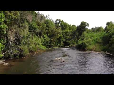 river cinematic video! river cinema! river cinematic!