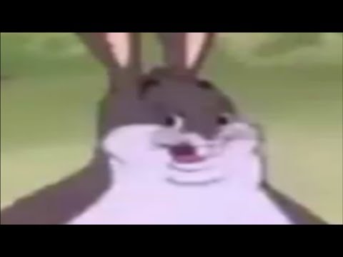 BIG CHUNGUS