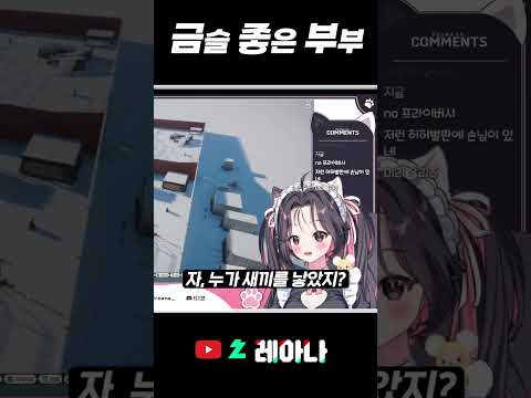 금술 좋은 부부  #vtuber #chzzk #animals